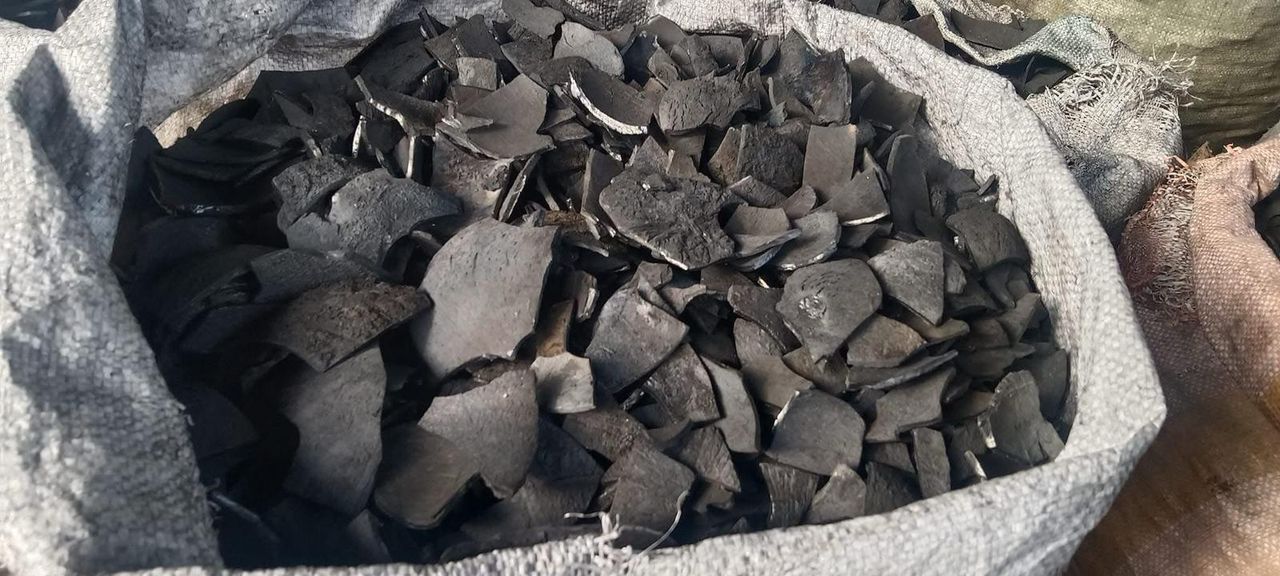 Eucalyptus Charcoal